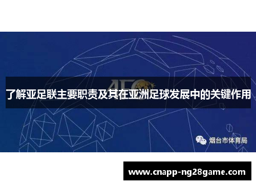了解亚足联主要职责及其在亚洲足球发展中的关键作用 了解亚足联主要职责及其在亚洲足球发展中的关键作用