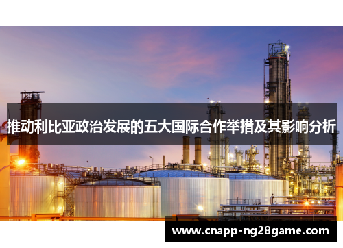 推动利比亚政治发展的五大国际合作举措及其影响分析 推动利比亚政治发展的五大国际合作举措及其影响分析