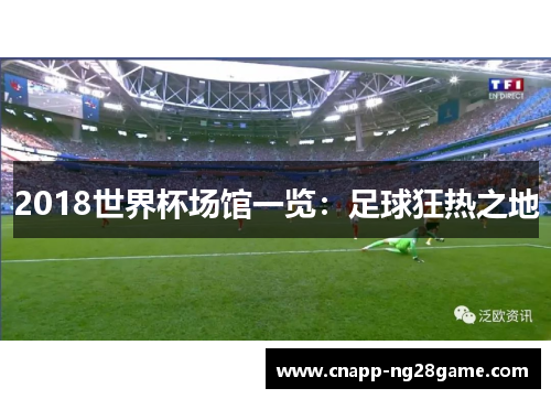 2018世界杯场馆一览:足球狂热之地 2018世界杯场馆一览:足球狂热之地