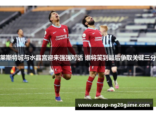 莱斯特城与水晶宫迎来强强对话 谁将笑到最后争取关键三分