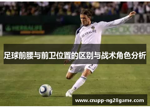 足球前腰与前卫位置的区别与战术角色分析 足球前腰与前卫位置的区别与战术角色分析