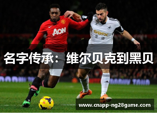 名字传承：维尔贝克到黑贝