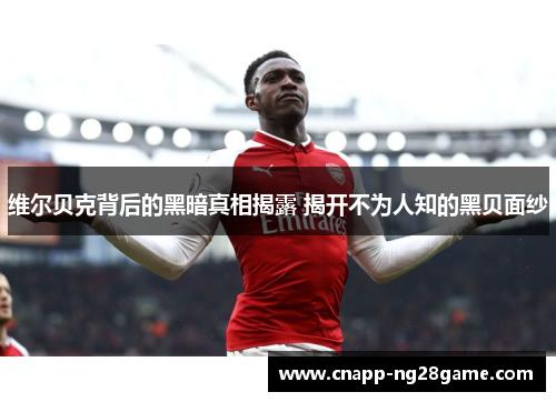 维尔贝克背后的黑暗真相揭露 揭开不为人知的黑贝面纱