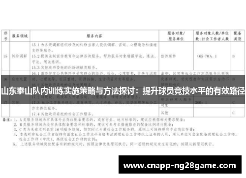 山东泰山队内训练实施策略与方法探讨：提升球员竞技水平的有效路径