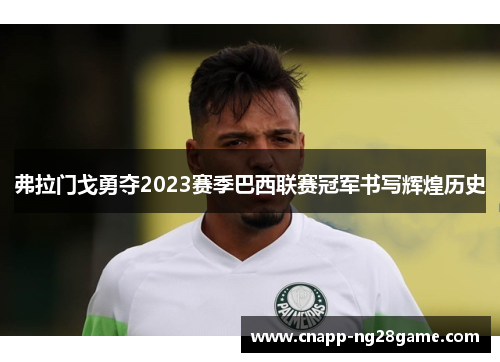 弗拉门戈勇夺2023赛季巴西联赛冠军书写辉煌历史 弗拉门戈勇夺2023赛季巴西联赛冠军书写辉煌历史