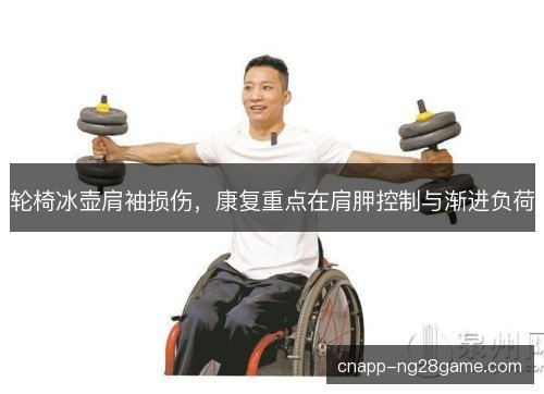 轮椅冰壶肩袖损伤,康复重点在肩胛控制与渐进负荷 轮椅冰壶肩袖损伤,康复重点在肩胛控制与渐进负荷